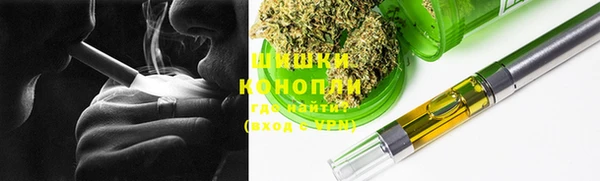 ГАЛЛЮЦИНОГЕННЫЕ ГРИБЫ Заводоуковск