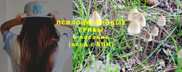 ешки Заволжье
