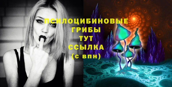 ГАЛЛЮЦИНОГЕННЫЕ ГРИБЫ Заводоуковск