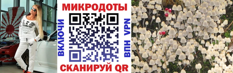 где продают   Коломна  Псилоцибиновые грибы Psilocybe 